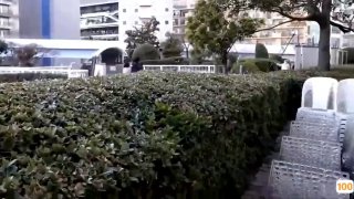 约大学生妹子 短裙清纯美乳嫩妹 掏出奶子揉捏很柔软 超近视角拍摄 ，跪地插嘴坐上来插入 ，骑乘扭动小腰